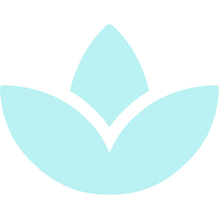 Spas icon